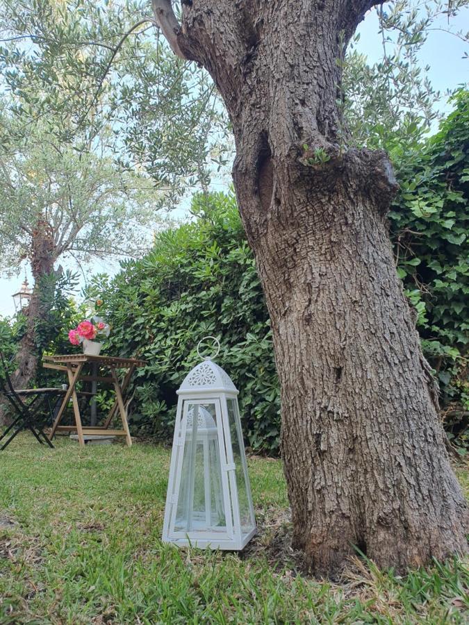 Villa Martina Mascalucia Eksteriør bilde