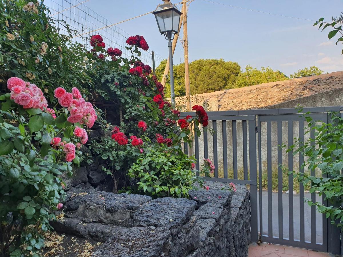 Villa Martina Mascalucia Eksteriør bilde